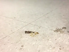 Wedge Walkover Crush