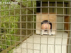 Ass Traffic Chick gets her ass trained by 2 well hung guys