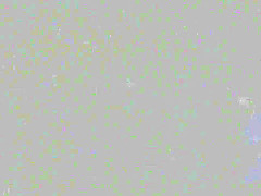 Massage for a Big Body and a Big Cock