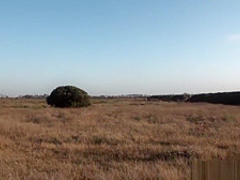 46 year old MILF loves public Flashing