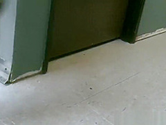 Alektra Blue cock inspector