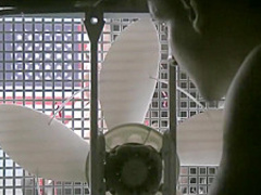 Alektra Blue cock inspector