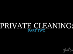 Private Cleaning: Part Two