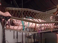 American goddess Carolina Pierce caged and spanked