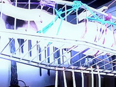 American goddess Carolina Pierce caged and spanked