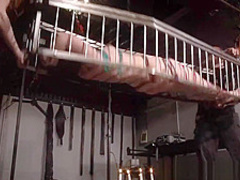 American goddess Carolina Pierce caged and spanked