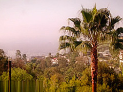 Wife Samantha Hayes First Big Black Cock