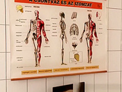 Lucy Heart fetish foot babe sucking