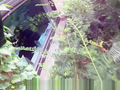 Fucked for cash near the bus stop