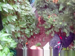 Fucked for cash near the bus stop