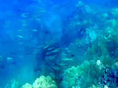 Carolina Sweets went to a vacation without her boyfriend, so she could cheat on him