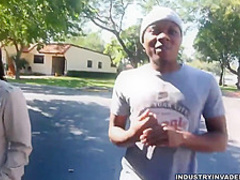 Oxuanna Envy is rare