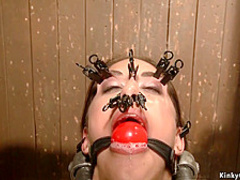 Brunette is whipped in device bondage