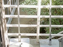 Guy watched two lesbians and they are took his thing