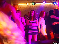 Naughty girls and horny guys are doing all kinds of sexy stuff, in the night club