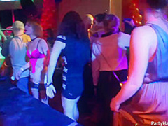 Naughty girls and horny guys are doing all kinds of sexy stuff, in the night club