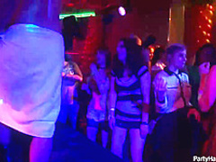 Naughty girls and horny guys are doing all kinds of sexy stuff, in the night club