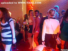 Naughty girls and horny guys are doing all kinds of sexy stuff, in the night club