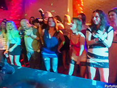 Naughty girls and horny guys are doing all kinds of sexy stuff, in the night club