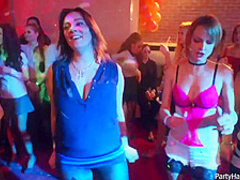 Naughty girls and horny guys are doing all kinds of sexy stuff, in the night club