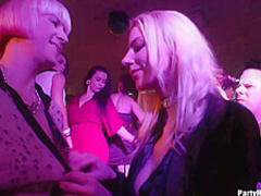 A group sex at the party is the best way to spice it up properly