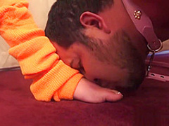 Whipping and Feet Worship