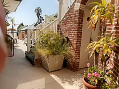 MrsSiren Fucking On Venice Beach