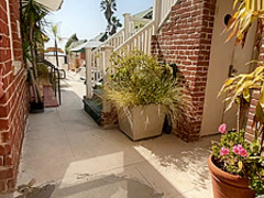 MrsSiren Fucking On Venice Beach