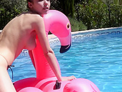 [w4b] 2017-12-25 Milla Azul - Flamingo