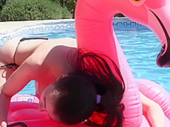 [w4b] 2017-12-25 Milla Azul - Flamingo