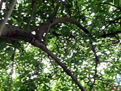 ATKGirlfriends 20 02 27 Aliya Brynn BTS