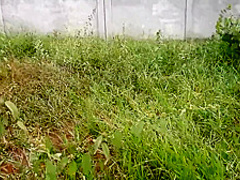 Curvaceous brunette is sucking a strangers dick outdoors and getting fucked very hard, in return