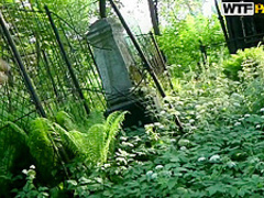 A brunette slut who takes it in the ass!