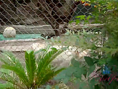 Naughty teen brunette is giving a great footjob to her new lover, in his hotel room