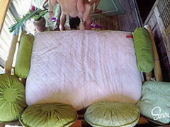 Teen college girls having a sexy threesome