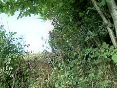 French amateur gets anal pile driver