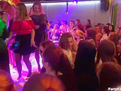 Delightful girls are partying in the night club and having casual sex with random guys