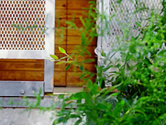 VivThomas - Alexa Tomas - Michelle H The Lesbian Bachel