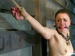 TheTrainingOfO - Katharine 3