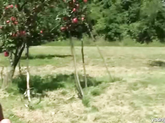 Fucking in the orchard