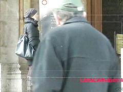 Prowling the streets for tasty birds