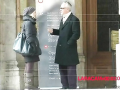 Prowling the streets for tasty birds