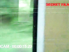 Picked up on the train