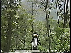 Vintage Japanese idol model with penguin suit