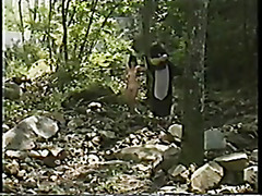 Vintage Japanese idol model with penguin suit