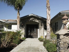 The Closet Organizer