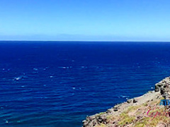 Sexy babe gave a footjob to a stranger and a blowjob to some other guy, for free