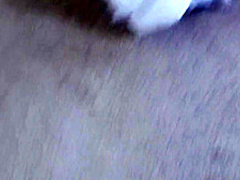 DadCrush - Harley Jade