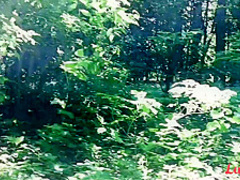 Lustery E288 Nick And Kelly Babes In The Woods