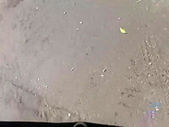 Charming blonde babe is horny and needs someone to fuck her dirty brains out, until she cums